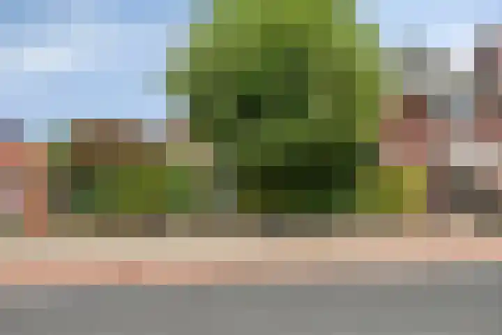 Bongerdstraat 2 Venray thumbnail 44