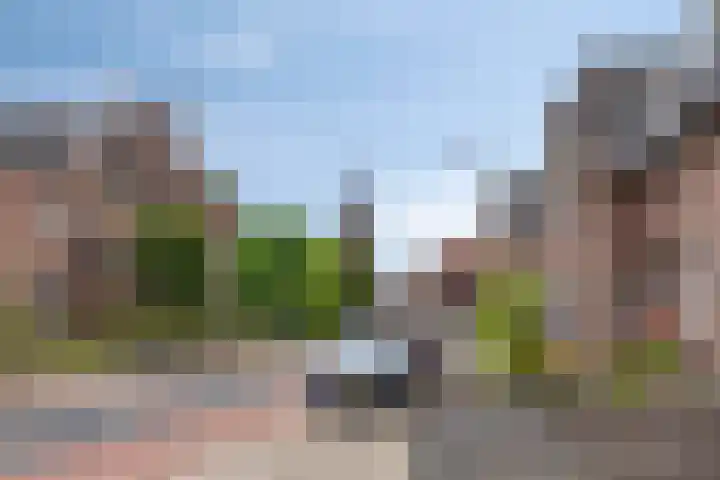 Bongerdstraat 2 Venray thumbnail 45
