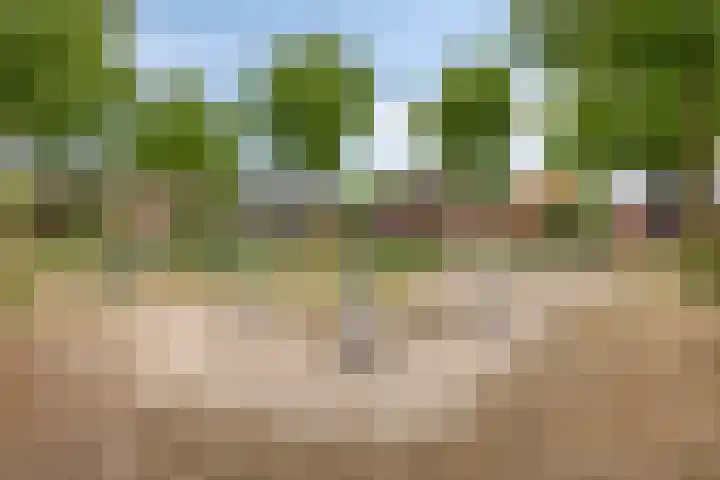 Bongerdstraat 2 Venray thumbnail 46