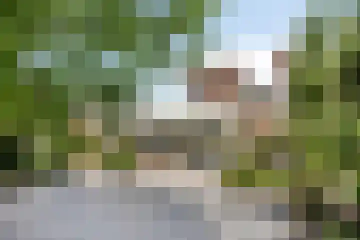 Bongerdstraat 2 Venray thumbnail 50