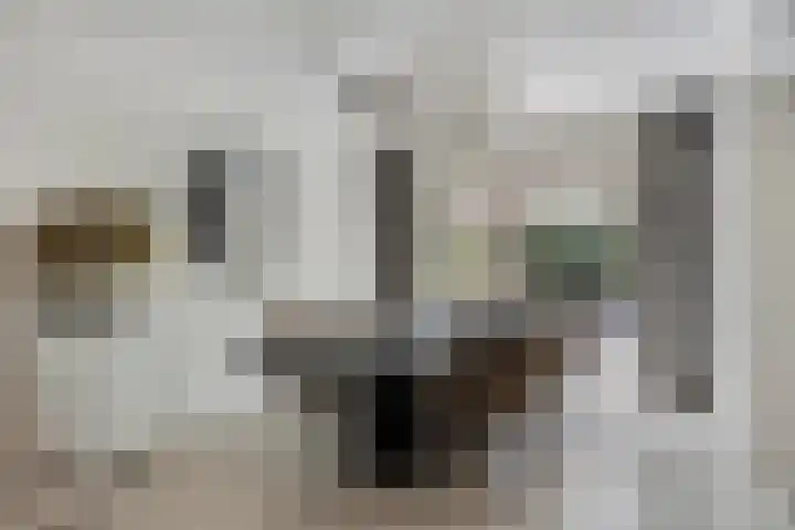 Bongerdstraat 2 Venray thumbnail 9