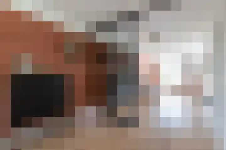 Bonkelaar 1 Smilde thumbnail 12
