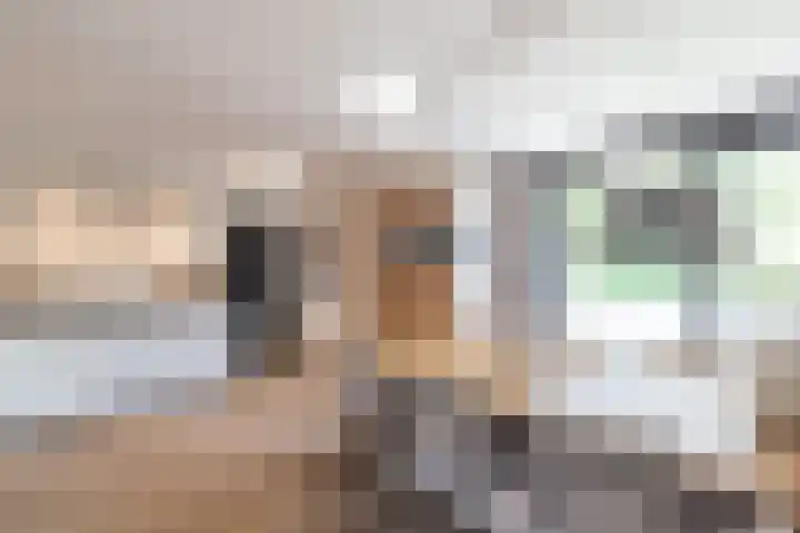 Bonkelaar 1 Smilde thumbnail 13