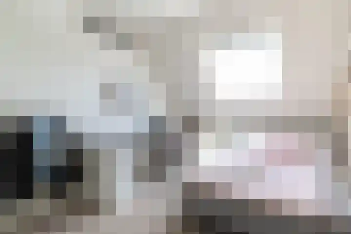 Bonkelaar 1 Smilde thumbnail 23