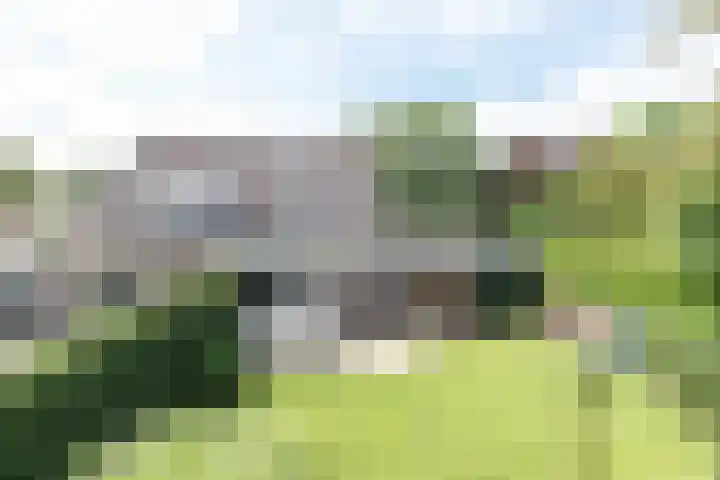 Bonkelaar 1 Smilde thumbnail 34