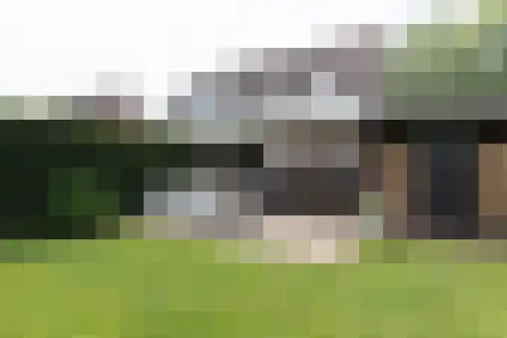 Bonkelaar 1 Smilde thumbnail 35