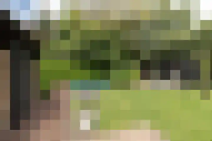 Bonkelaar 1 Smilde thumbnail 36