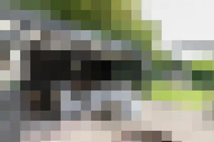 Bonkelaar 1 Smilde thumbnail 38