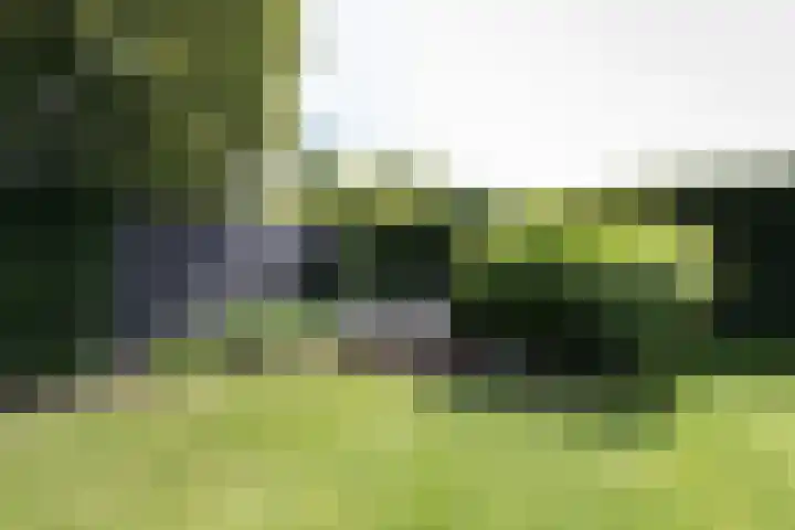 Bonkelaar 1 Smilde thumbnail 41