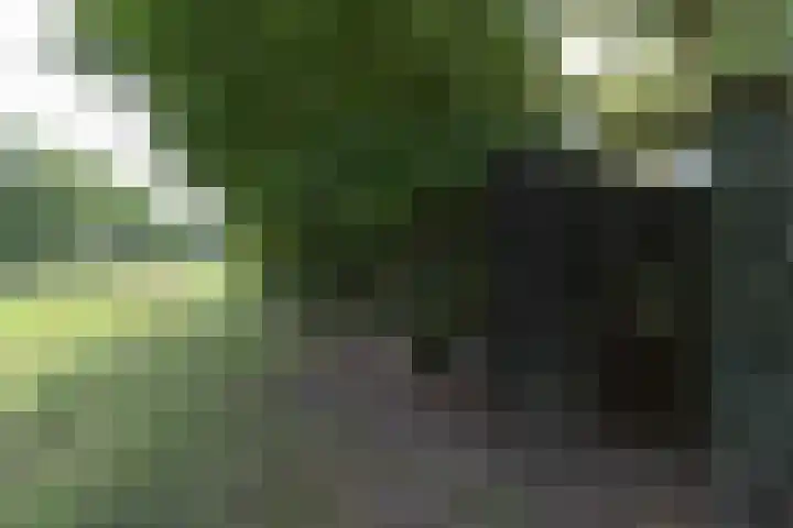 Bonkelaar 1 Smilde thumbnail 42