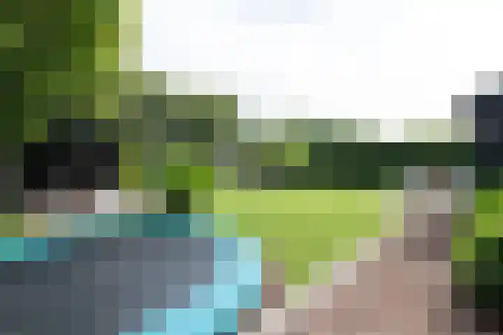 Bonkelaar 1 Smilde thumbnail 43