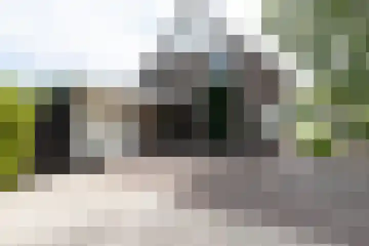 Bonkelaar 1 Smilde thumbnail 46