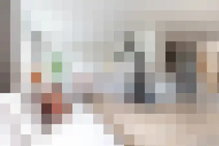 Bonkelaar 1 Smilde thumbnail 8
