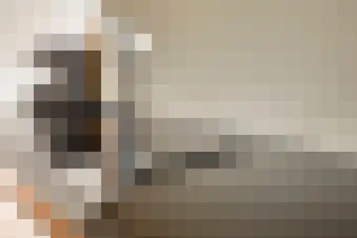 Bonkelaar 15 Zoeterwoude thumbnail 12