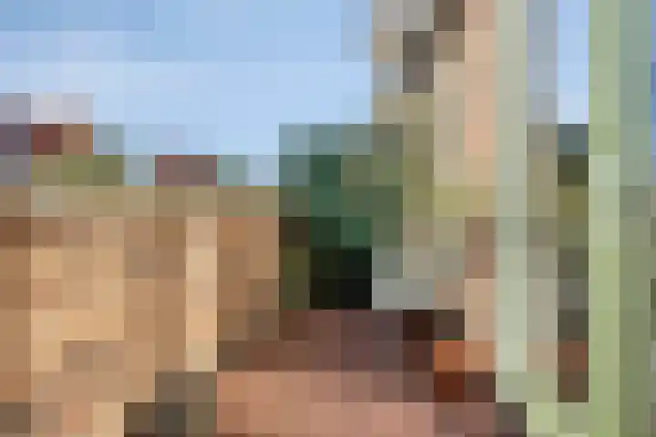 Bonkelaar 15 Zoeterwoude thumbnail 14