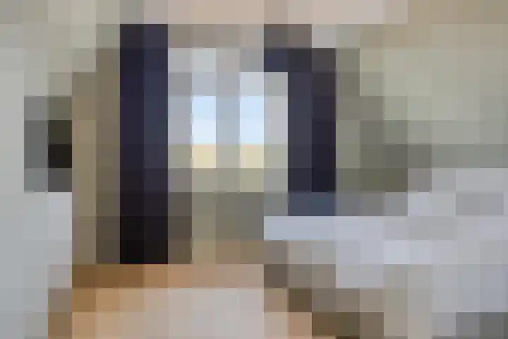 Bonkelaar 15 Zoeterwoude thumbnail 15