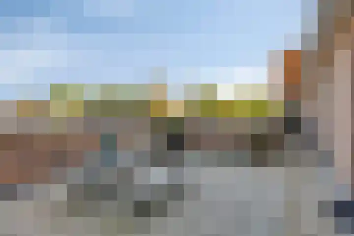 Bonkelaar 15 Zoeterwoude thumbnail 23