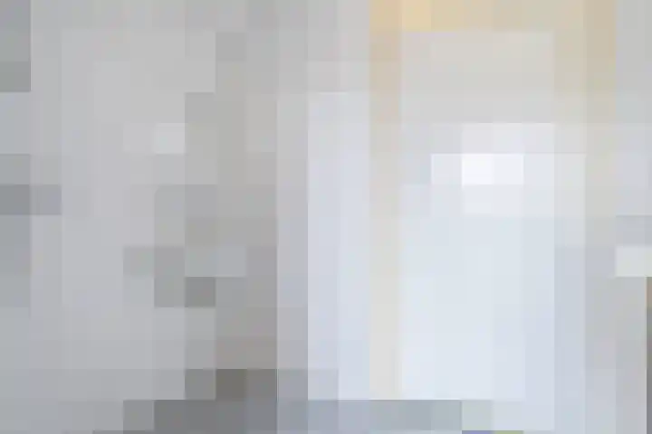 Bonkelaar 15 Zoeterwoude thumbnail 24