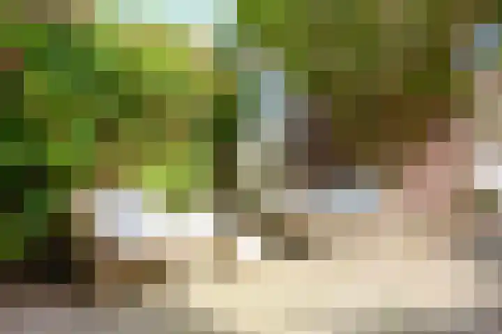 Bonkelaar 15 Zoeterwoude thumbnail 4