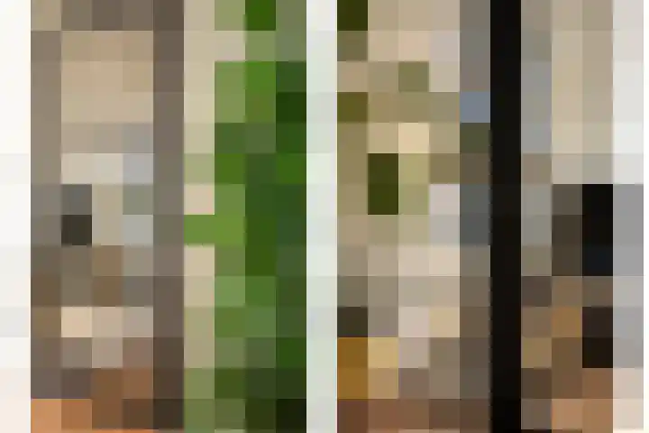 Bonkelaar 15 Zoeterwoude thumbnail 5
