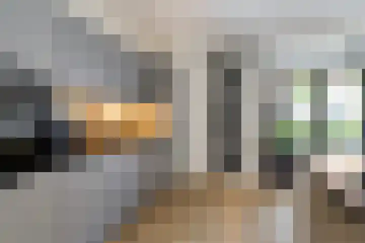 Bonkelaar 17 Zoeterwoude thumbnail 10