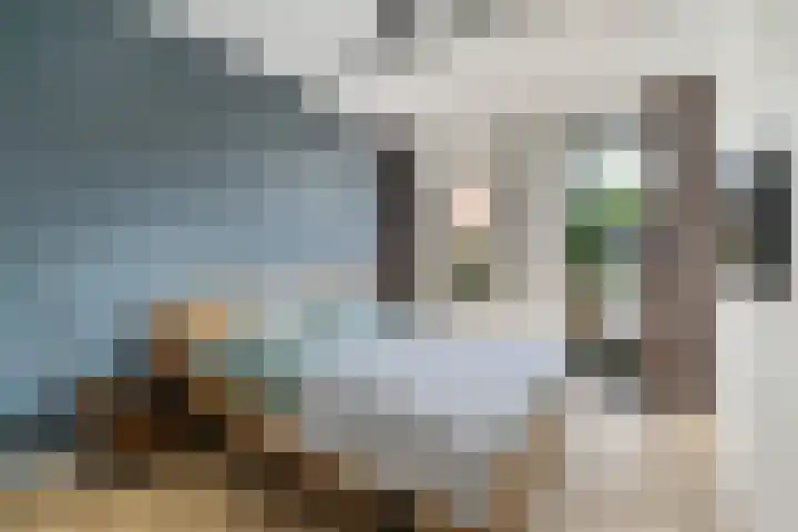 Bonkelaar 17 Zoeterwoude thumbnail 14