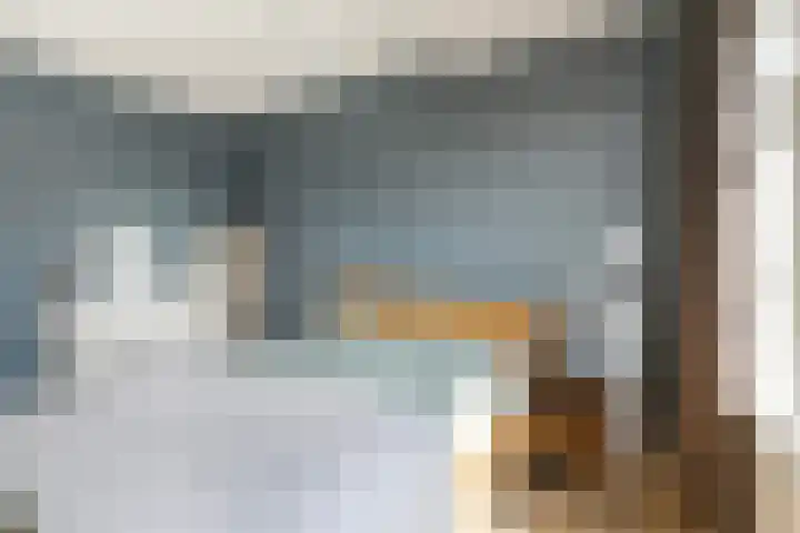 Bonkelaar 17 Zoeterwoude thumbnail 16