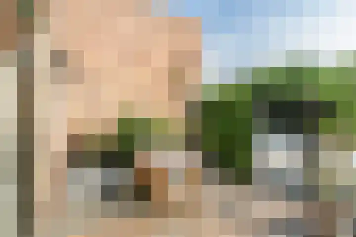 Bonkelaar 17 Zoeterwoude thumbnail 21