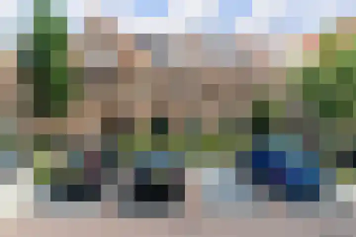 Bonkelaar 17 Zoeterwoude thumbnail 31