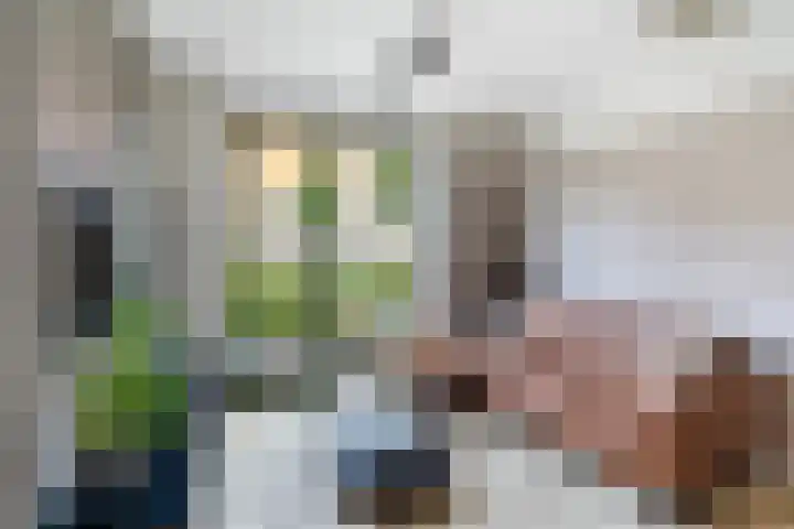 Bonkelaar 17 Zoeterwoude thumbnail 5