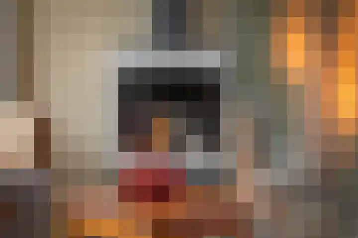 Bonkelaar 2 Raalte thumbnail 11