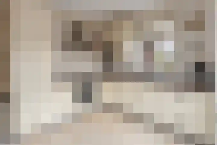 Bonkelaar 2 Raalte thumbnail 15