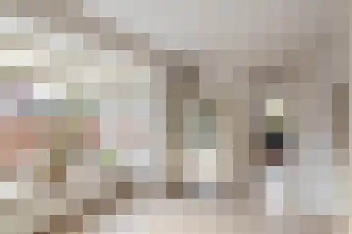 Bonkelaar 2 Raalte thumbnail 16
