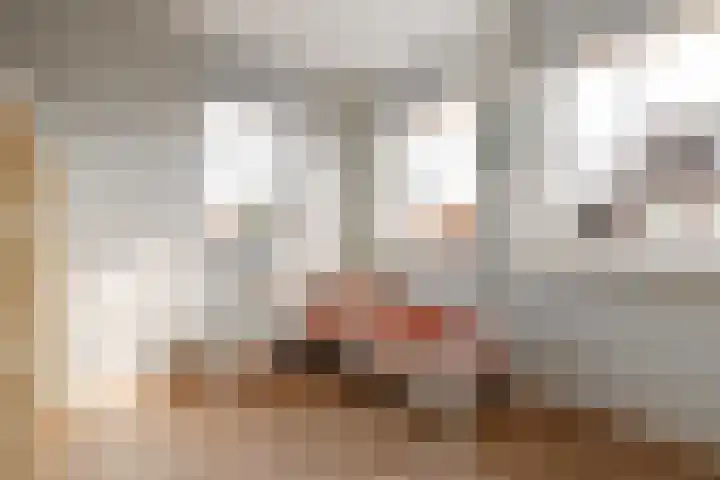 Bonkelaar 2 Raalte thumbnail 27