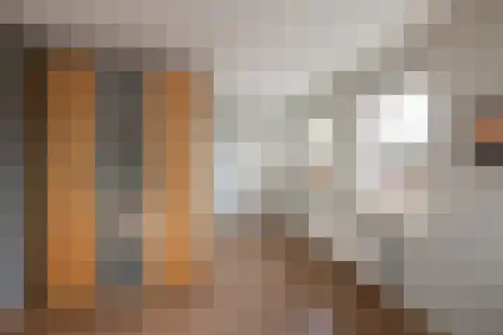 Bonkelaar 2 Raalte thumbnail 29
