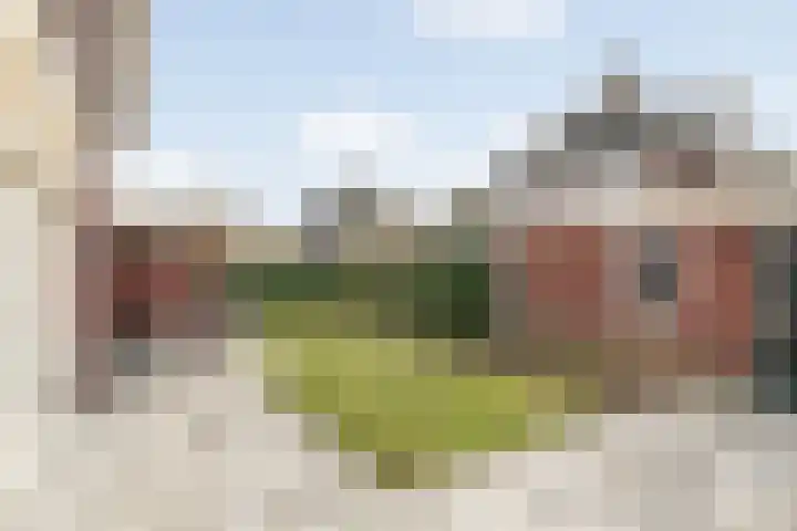Bonkelaar 2 Raalte thumbnail 40