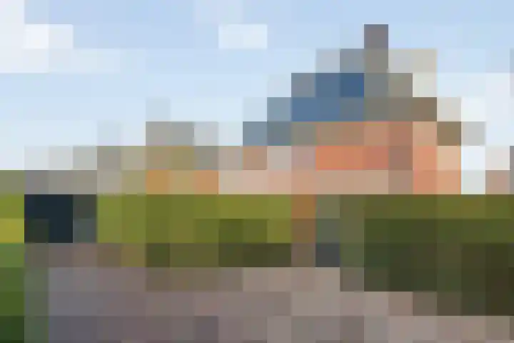 Bonkelaar 2 Raalte thumbnail 41