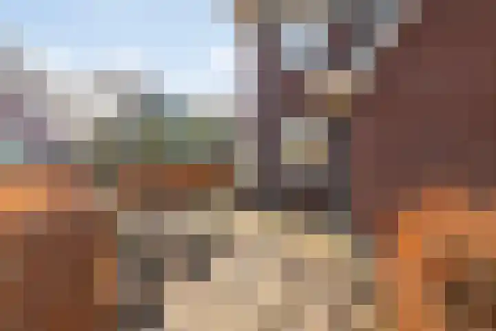Bonkelaar 2 Raalte thumbnail 45