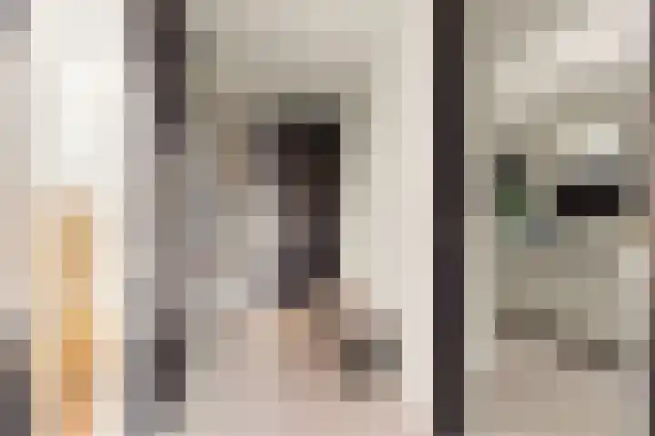 Bonnet 12 Almere thumbnail 12