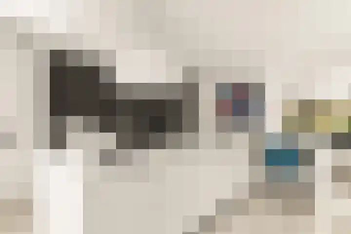 Bonnet 12 Almere thumbnail 14