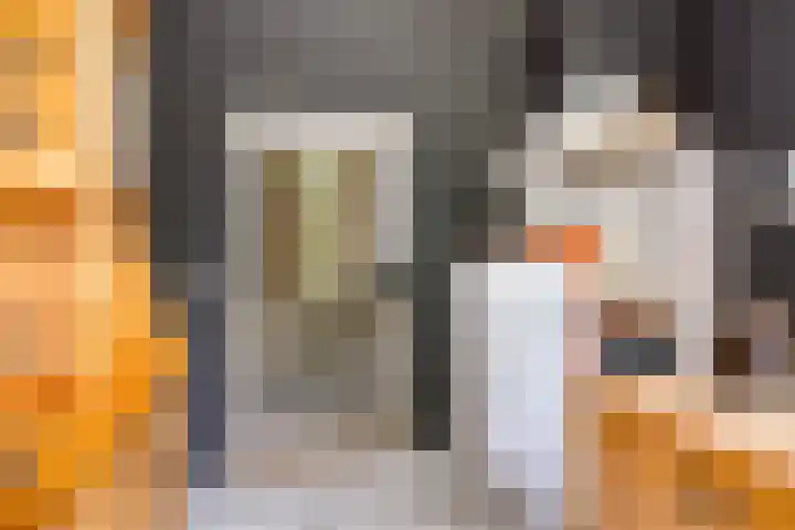 Bonnet 12 Almere thumbnail 15