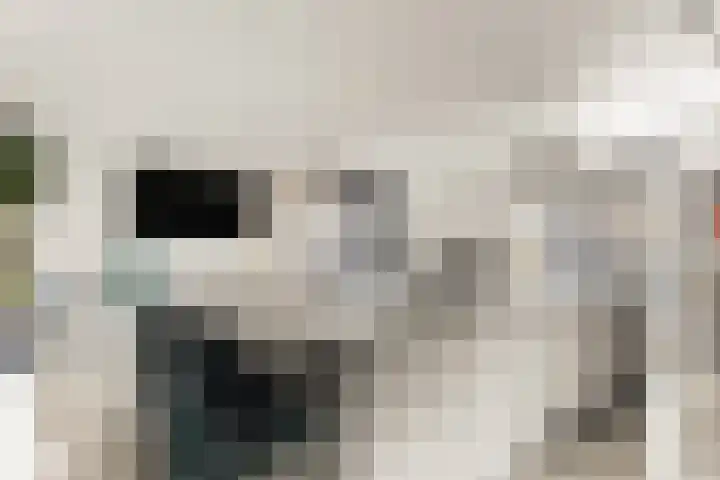 Bonnet 12 Almere thumbnail 18