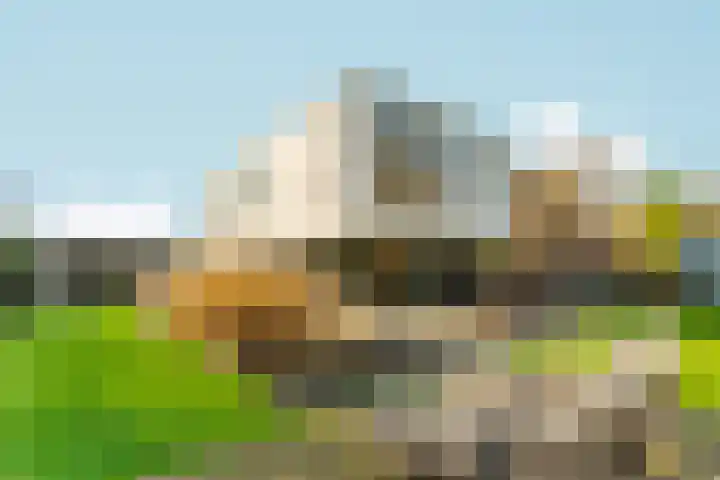 Bonnet 12 Almere foto 2