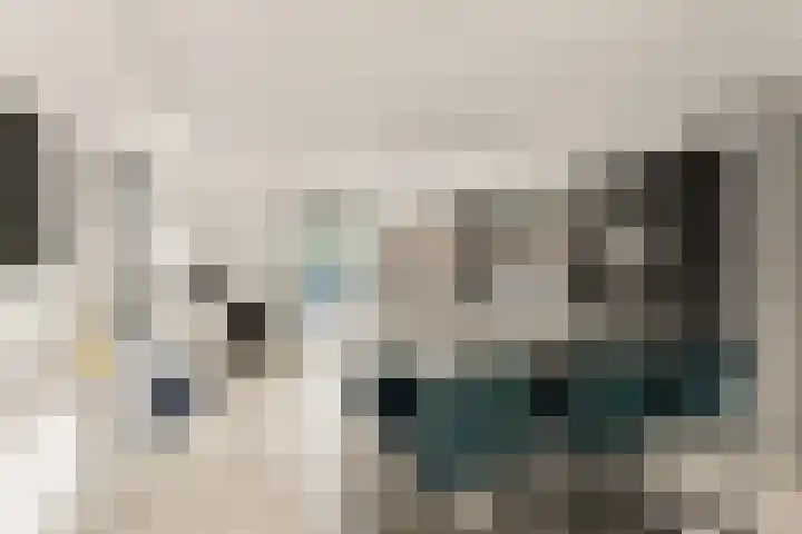 Bonnet 12 Almere thumbnail 20