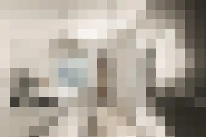 Bonnet 12 Almere thumbnail 21