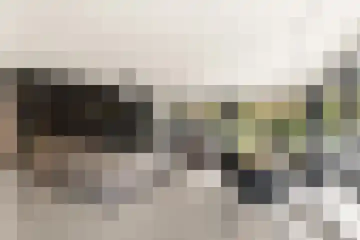 Bonnet 12 Almere thumbnail 25