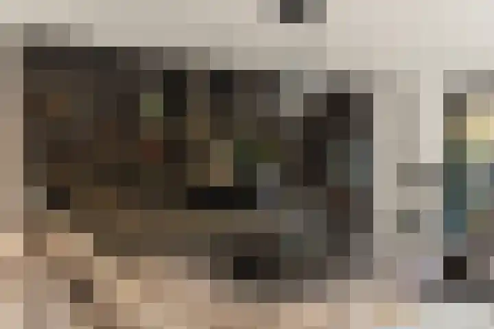 Bonnet 12 Almere thumbnail 26