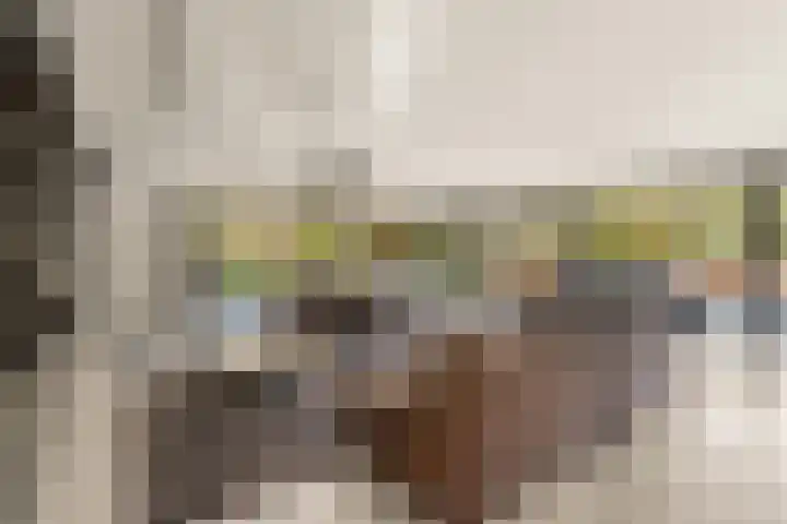 Bonnet 12 Almere thumbnail 29