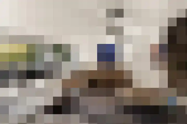 Bonnet 12 Almere thumbnail 32