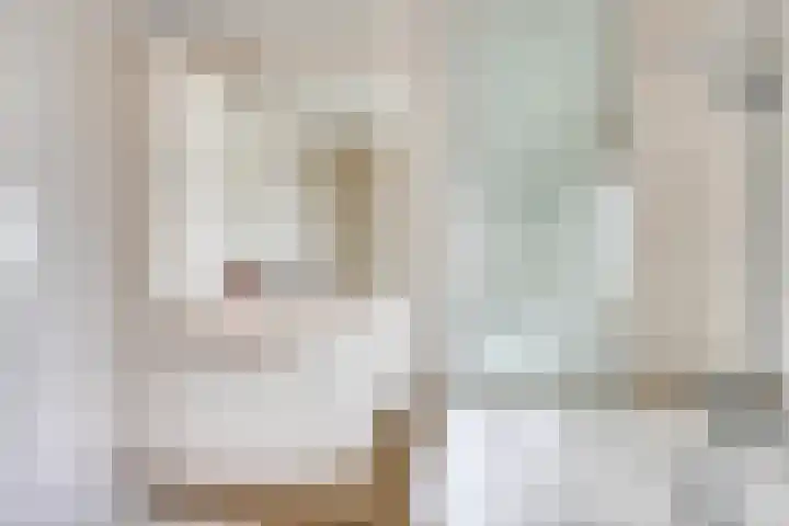 Bonnet 12 Almere thumbnail 33